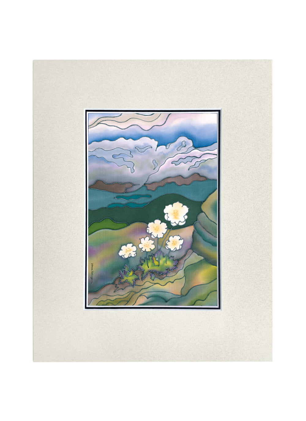 Mountain Avens Print | 11"x14"