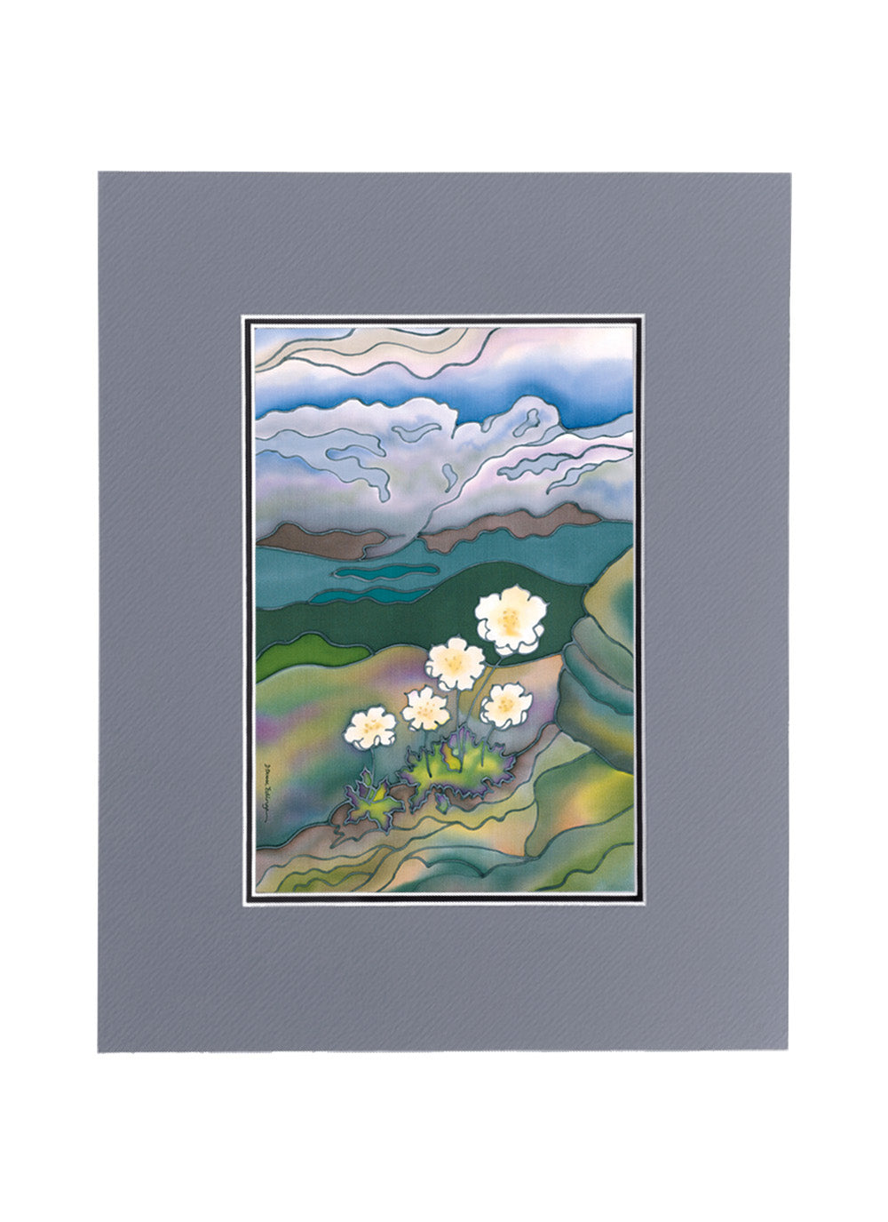 Mountain Avens Print | 11"x14"