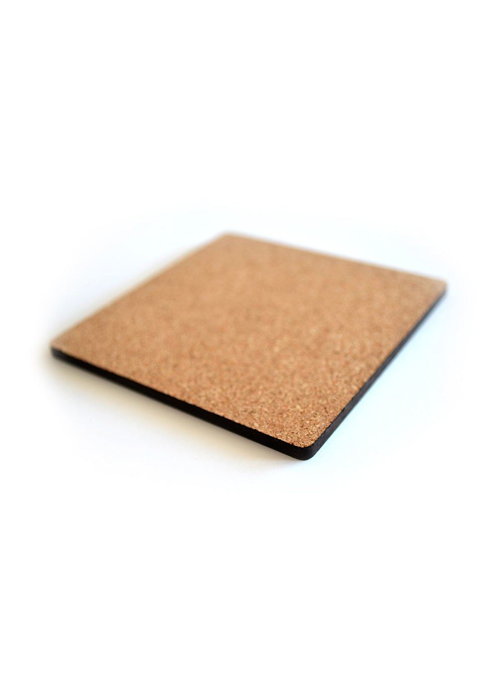 Winter Fun Coasters | 3.5" Square