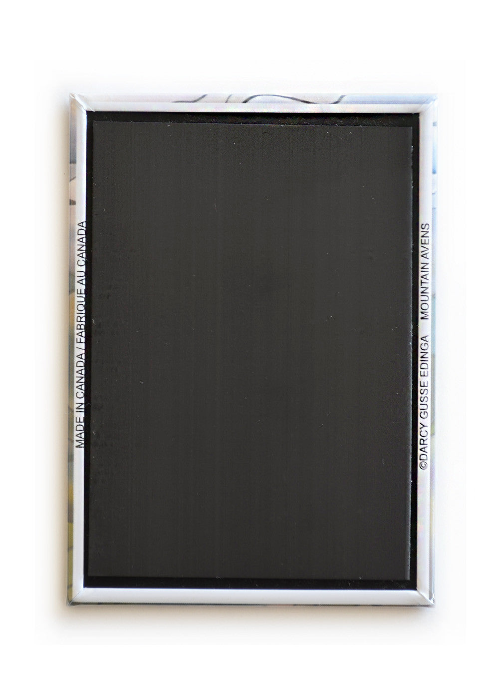 Mountain Avens Magnet | 2.5"x3.5"